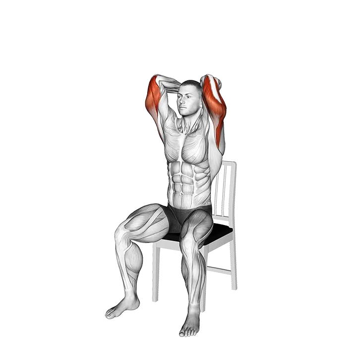Seated Overhead Triceps Extension on a Chair exercise animation (Male)