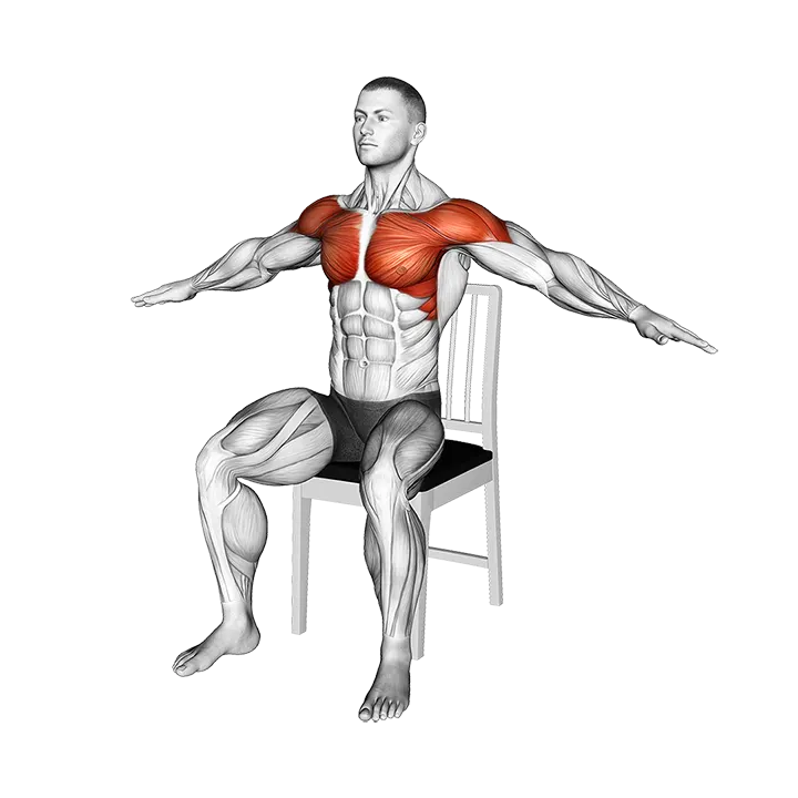 Seated Underhand Arm Circle on a Chair exercise animation (Male)