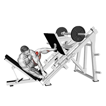 Sled Side Leg Press