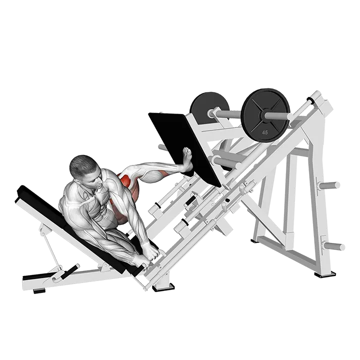 Sled Side Leg Press exercise animation (Male)