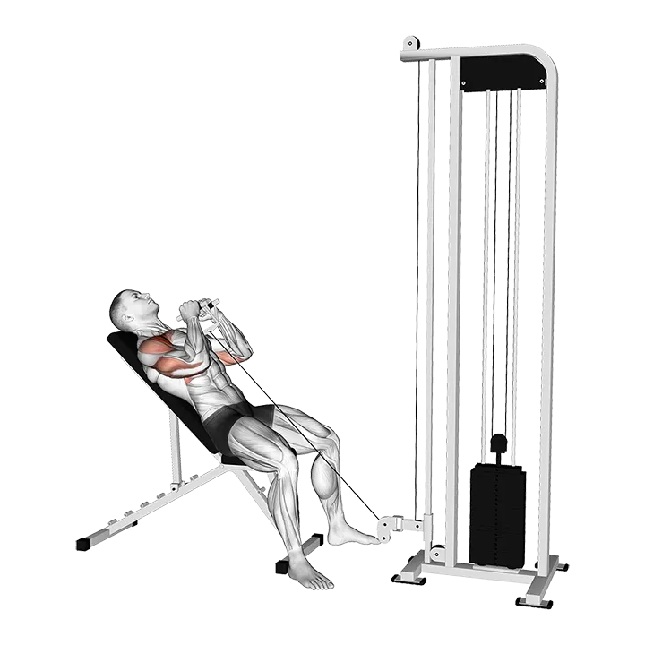 Cable Incline Close Grip Shoulder Press with V Bar exercise animation (Male)