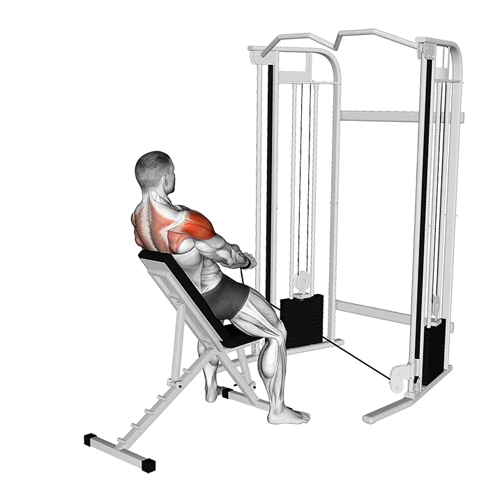 Cable Incline Y Raise Wrist Straps with Back Support exercise animation (Male)