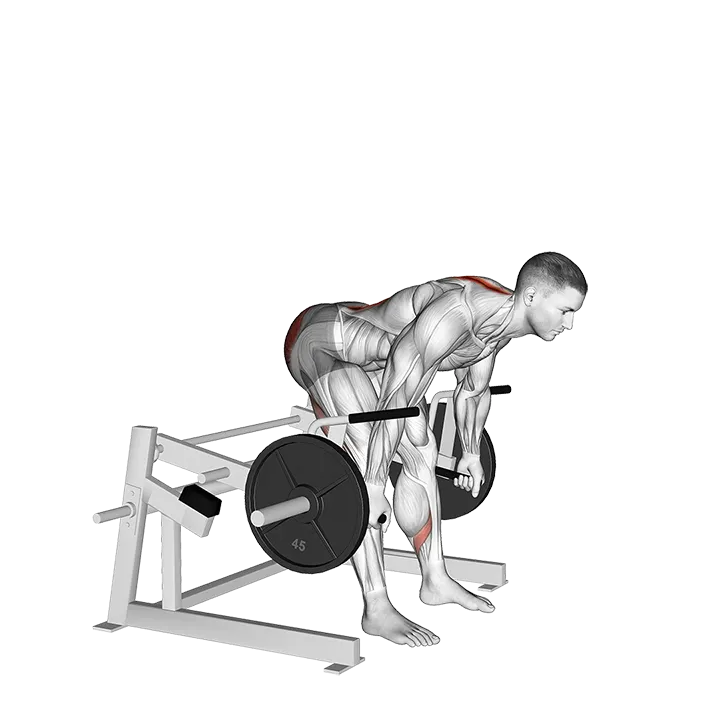 Lever Romanian Deadlift (plate loaded) exercise animation (Male)