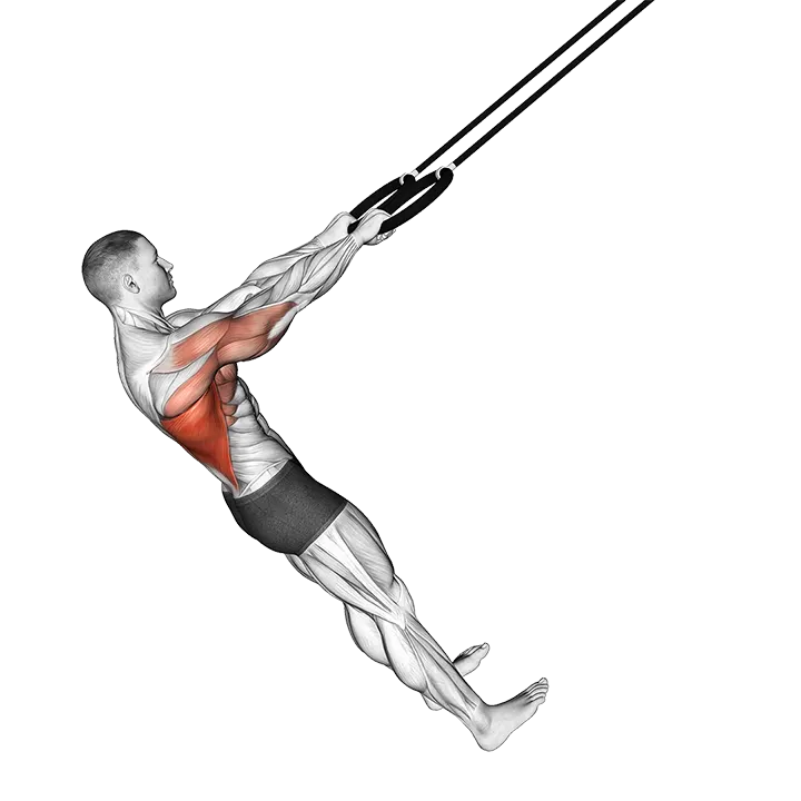 Ring Pullover exercise animation (Hombre)