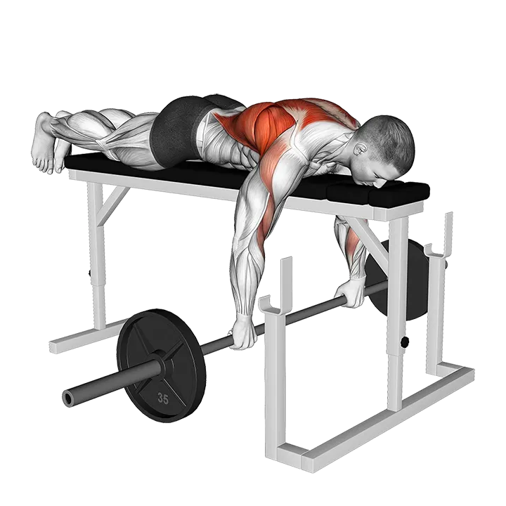 Barbell Lying Seal Row on Rack exercise animation (Male)