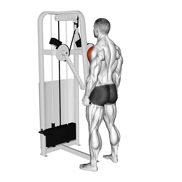 Lever Standing Lateral Raise exercise animation (Male)