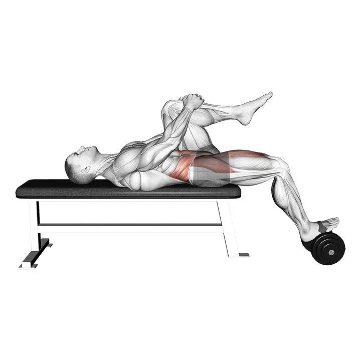 Weighted Dumbbell Lying Knee Raise exercise animation (Male)