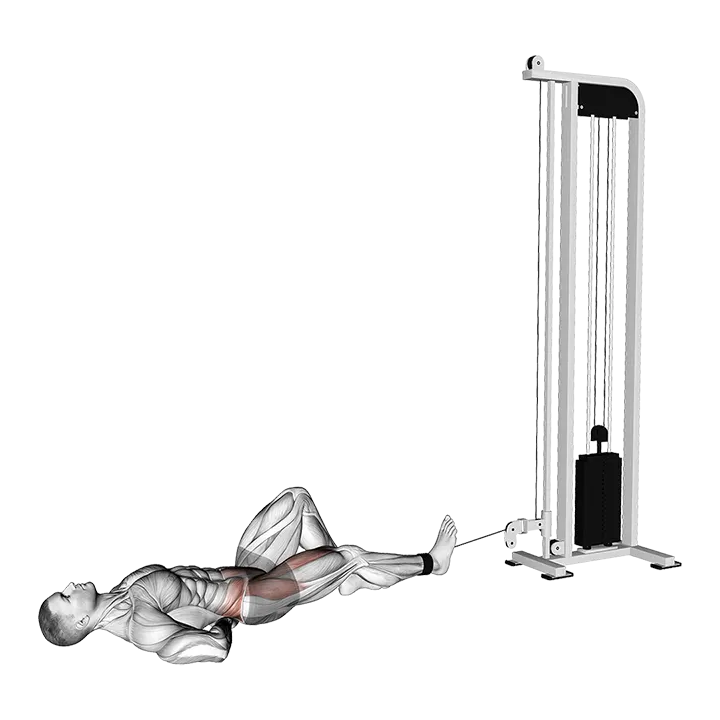 Cable Lying Single Leg Hip Flexion exercise animation (Male)