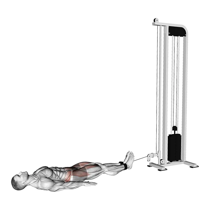 Cable Lying Hip Flexion (Reverse Squat) exercise animation (Male)