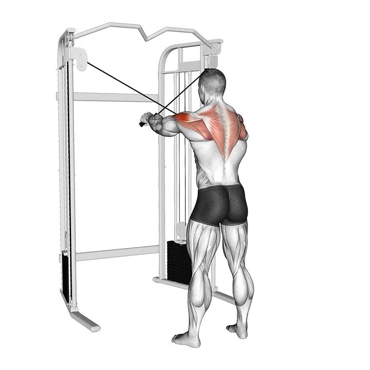 Cable 45 degrees Reverse Fly exercise animation (Male)