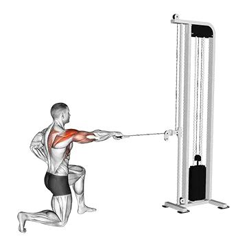 Cable Half Kneeling External Rotation Press