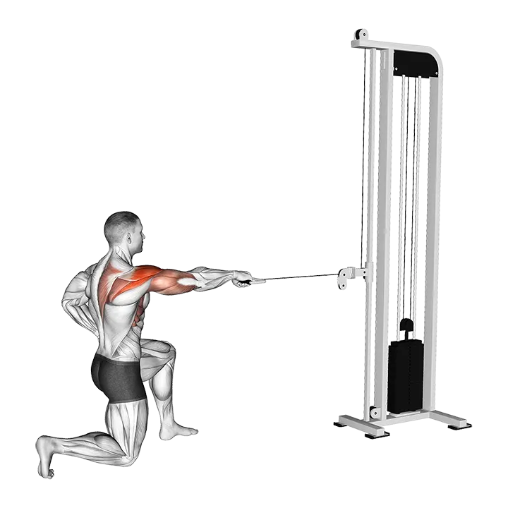 Cable Half Kneeling External Rotation Press exercise animation (Male)