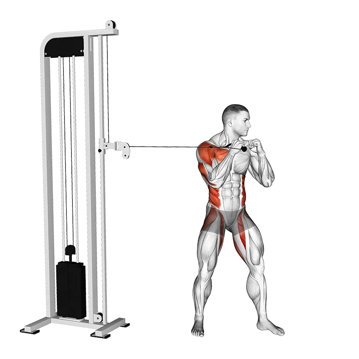 Cable Standing Jab exercise animation (Male)