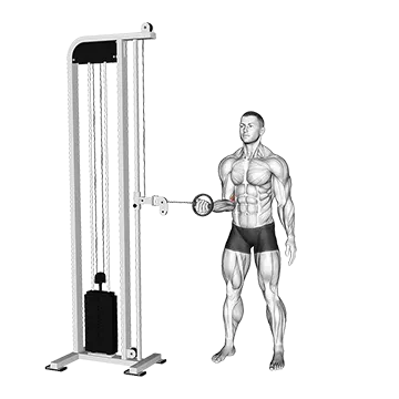 Cable Forearm Pronation