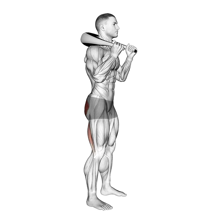 Weighted Bag Good Morning exercise animation (Male)