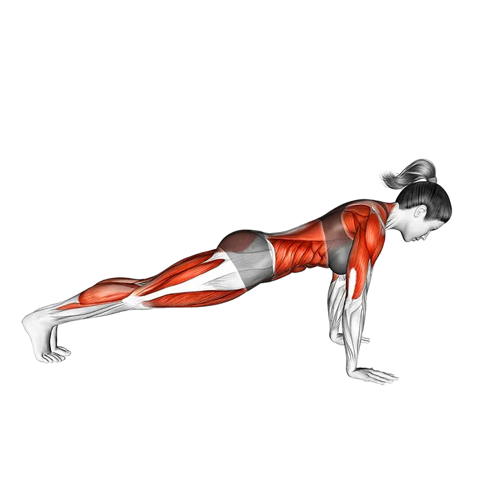 Knee Tuck Push-up exercise animation (Female)