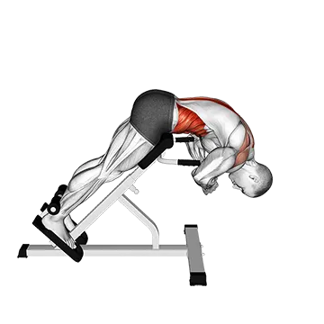 45 degrees Back Extension Scapular Adduction
