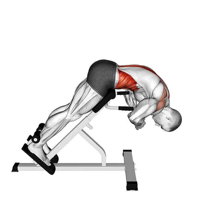 45 degrees Back Extension Scapular Adduction exercise animation (Male)