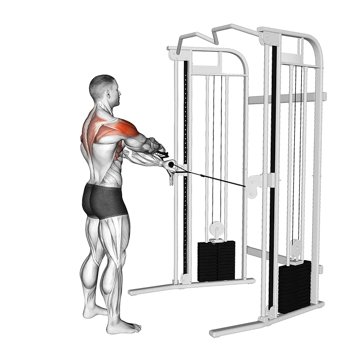 Cable Standing Y Raise (Version 2) exercise animation (Male)