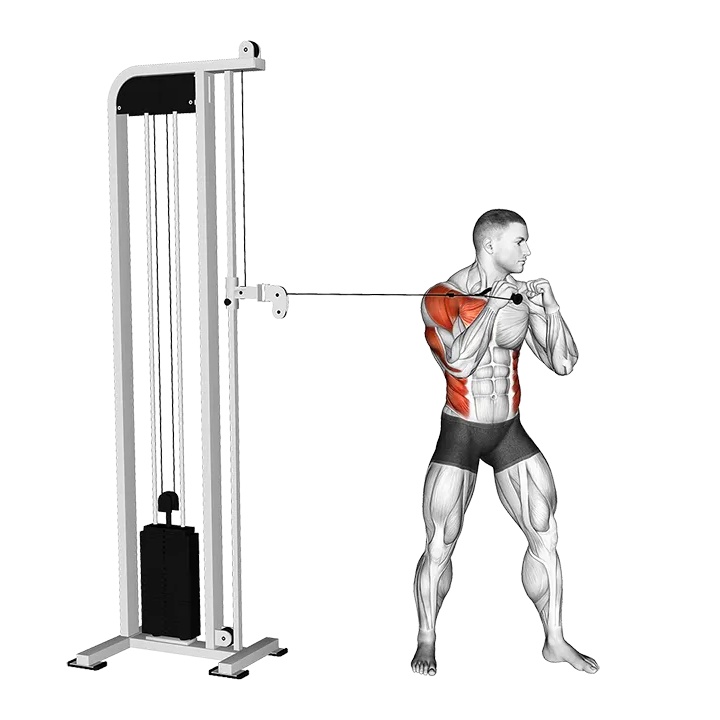 Cable Standing Jab (VERSION 2) exercise animation (Male)