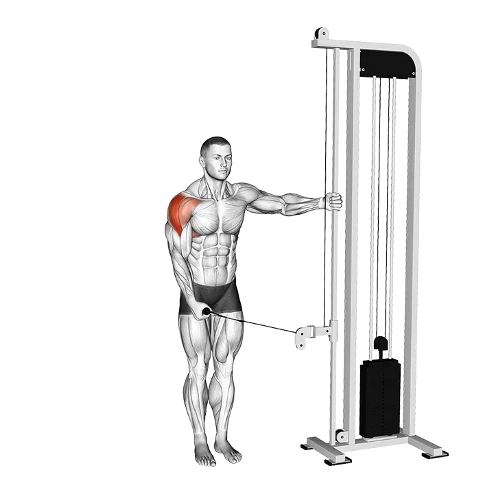 Cable Single Arm Lateral Raise (VERSION 2) exercise animation (Male)