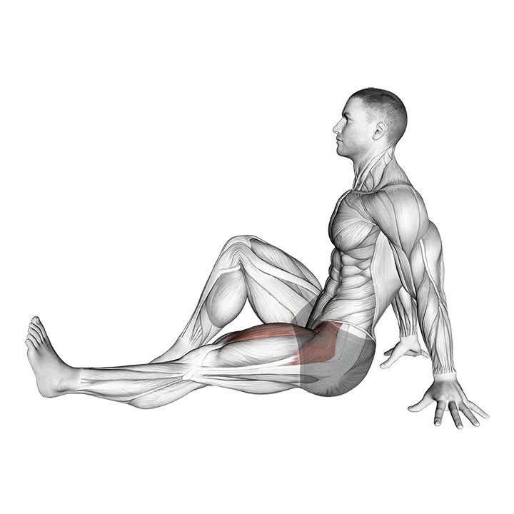 Seated Single Leg Raise exercise animation (Male)