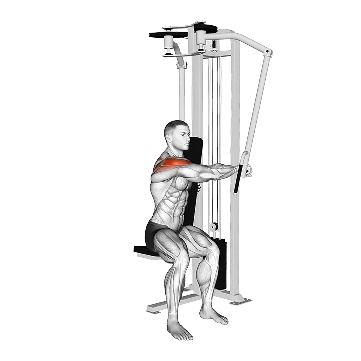 Lever Side Seated Single Arm Rear Delt Fly exercise animation (Male)