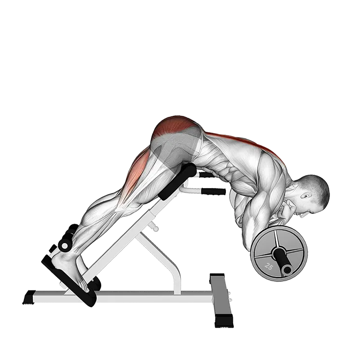 Barbell Zercher Back Extension exercise animation (Male)