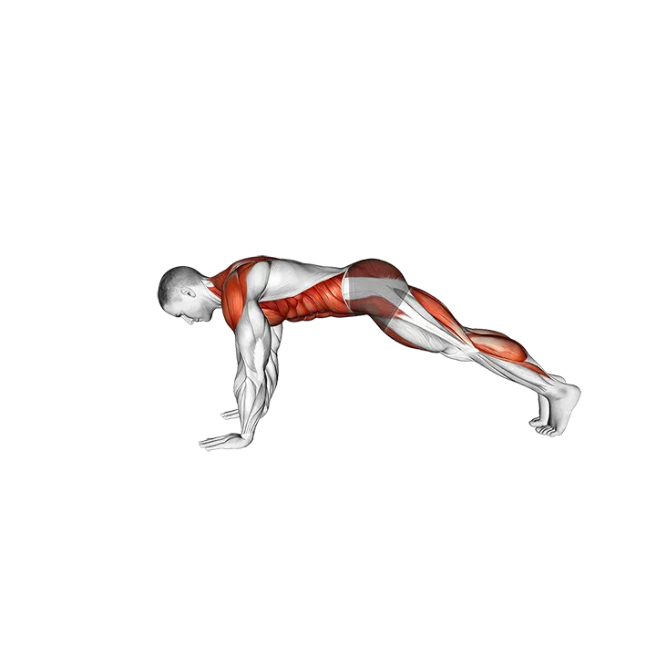 Bird Dog Plank exercise animation (Male)