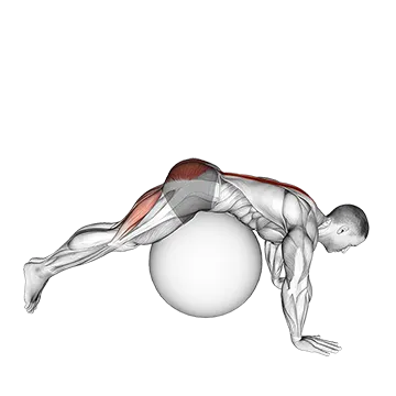 Reverse Hyperextension on Stability Ball