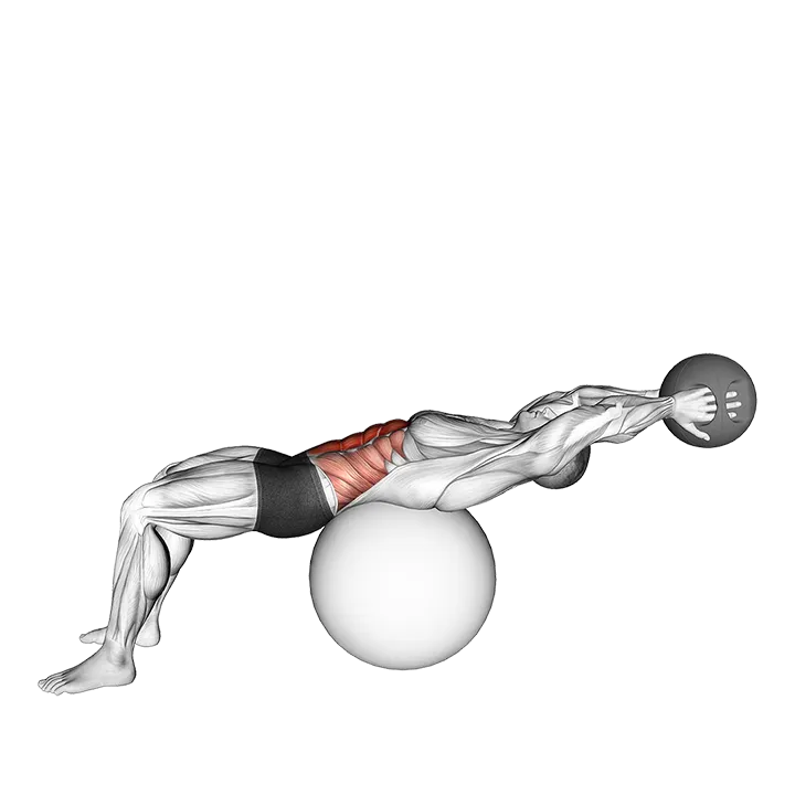 Medicine Ball Crunch on Stability Ball exercise animation (Male)