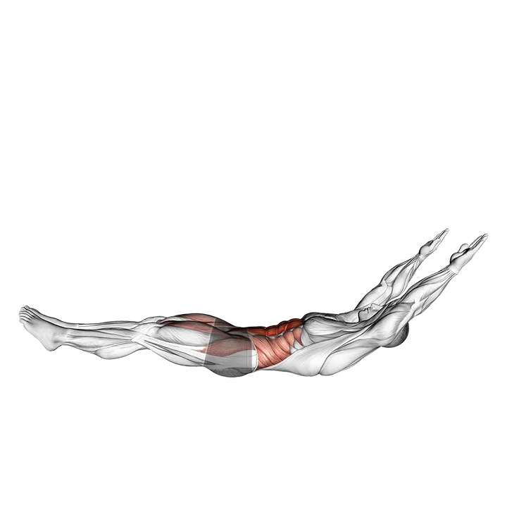 Lying Abdominal Scissors Crunch exercise animation (Male)