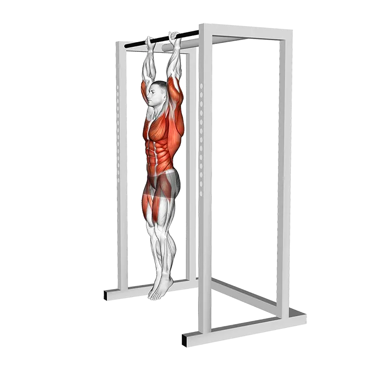 Hanging Tucked Front Lever Hold exercise animation (Male)