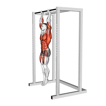 Hanging Advanced Tucked Front Lever Hold