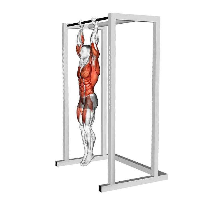 Hanging Advanced Tucked Front Lever Hold exercise animation (Male)