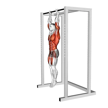 Hanging Front Lever Hold