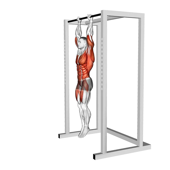 Hanging Front Lever Hold exercise animation (Male)