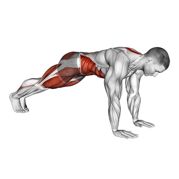 Mountain Climber Cross Kick exercise animation (Male)