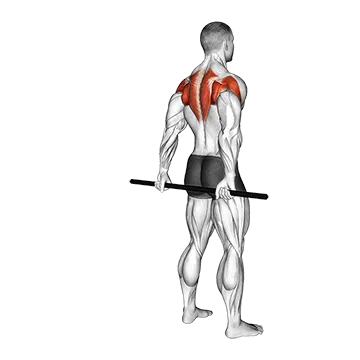 Stick Standing Shoulder Mobilization in Extension