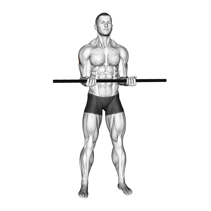 Stick Standing Shoulder Mobilization In External Rotation exercise animation (Male)