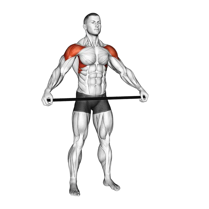 Stick Shoulder Mobilization in Abduction exercise animation (Male)