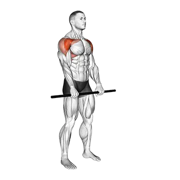 Stick Standing Front Raise