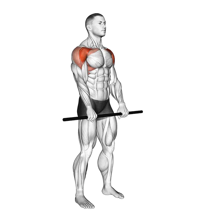 Stick Standing Front Raise exercise animation (Männlich)