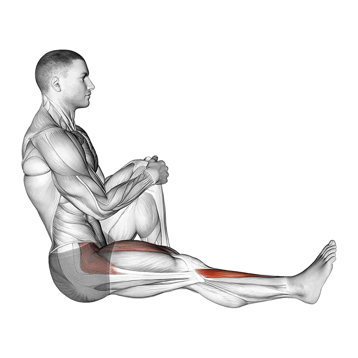 Sitting Floor Tibialis Raise exercise animation (Male)