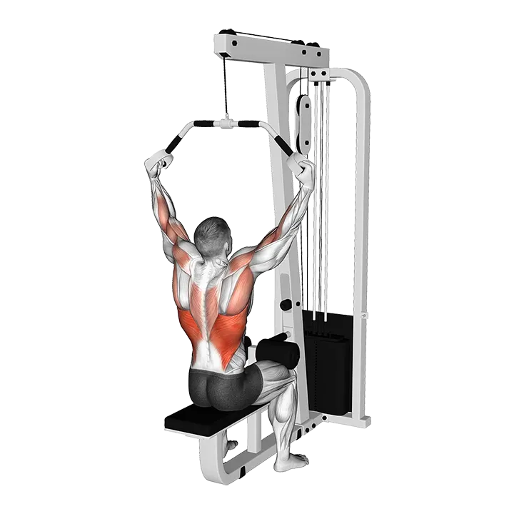 Cable Neutral Grip Wide Pulldown (VERSION 3) exercise animation (Male)