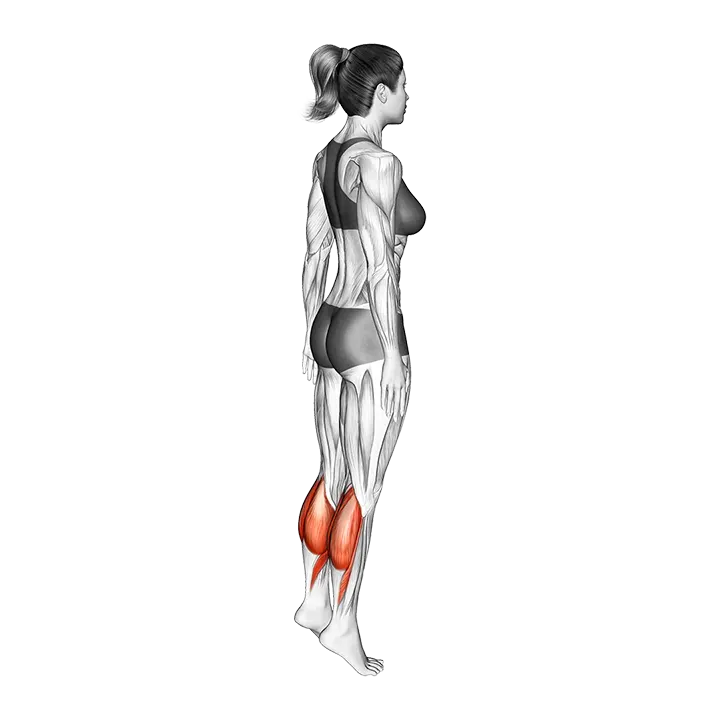 Standing Isometric Hold Calf Raise exercise animation (Female)