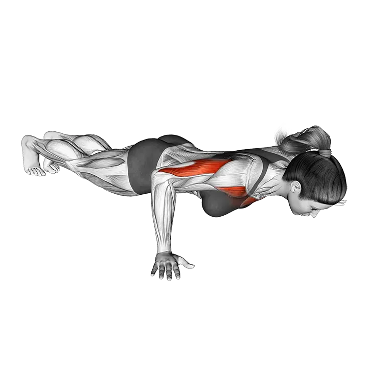Isometric Hold Wide Hand Push-up exercise animation (Female)