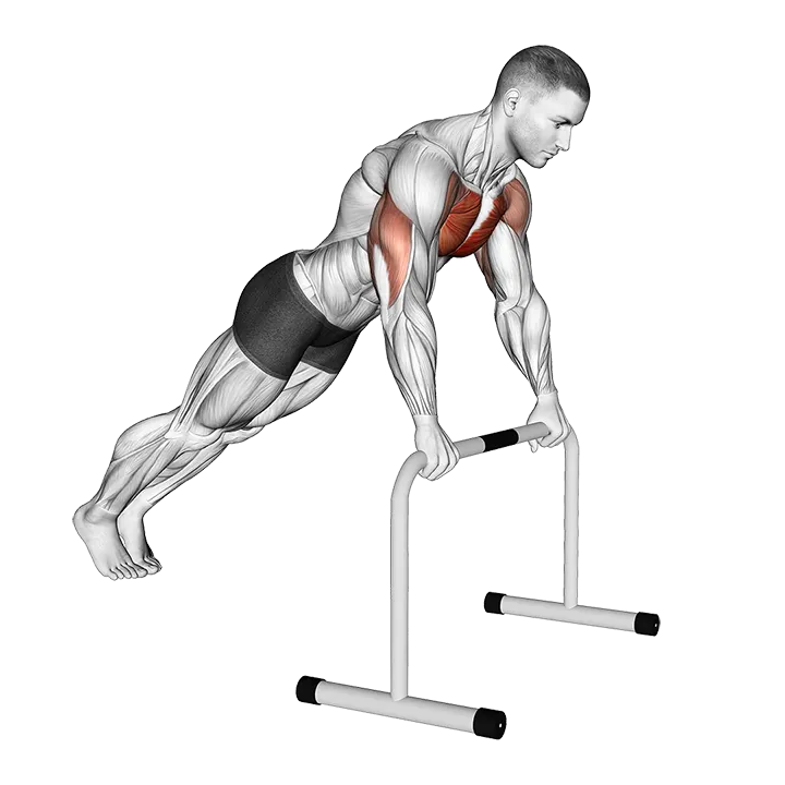 High Bar Incline Push-up exercise animation (Male)