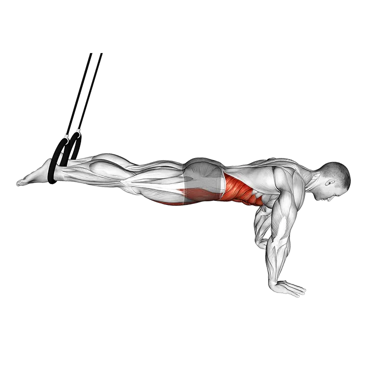Ring Isometric Hold Reverse Ab Rollout exercise animation (Male)