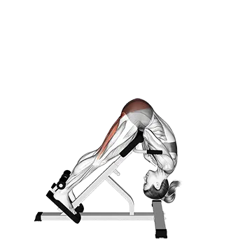 45 Degree Hip Extension Glute Focused (VERSION 2)